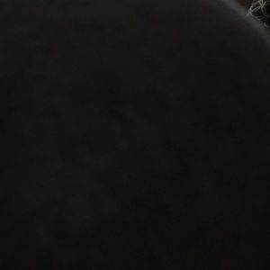 Meet your Posher, Abbey